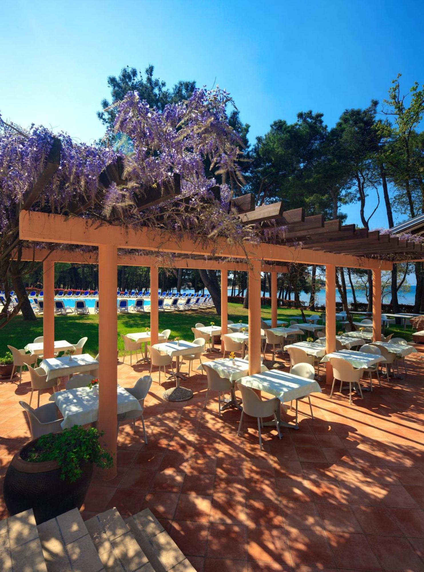Szálloda Aurora Plava Laguna 4*